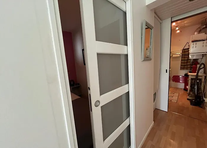 Appartement T2 De Charme Avec Parking Privé, à 100m De La Plage, En Plein Cœur D'arcachon - Fr-1-374-216 Arcachon